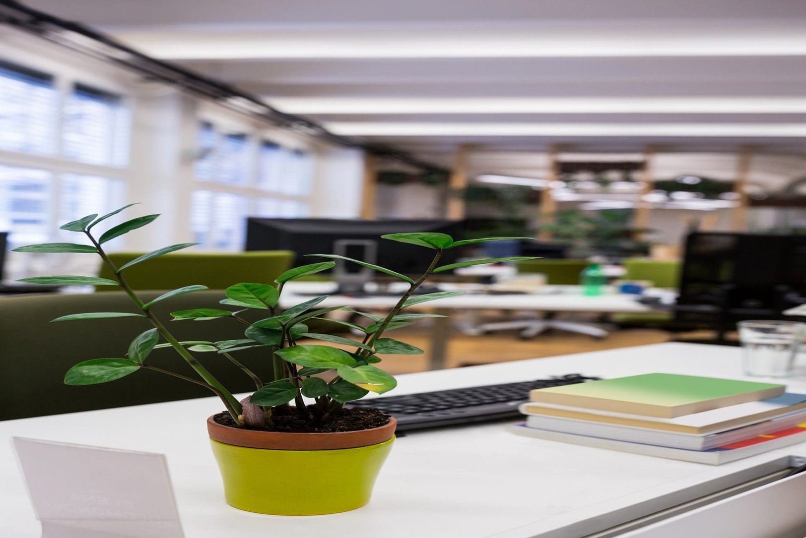 Green workspace
