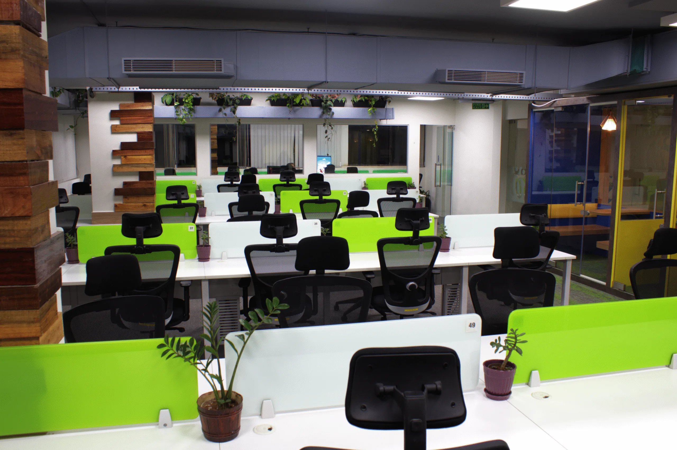 Modern coworking space with open desks, ergonomic chairs, green desk dividers, indoor plants, and a bright collaborative work environment
