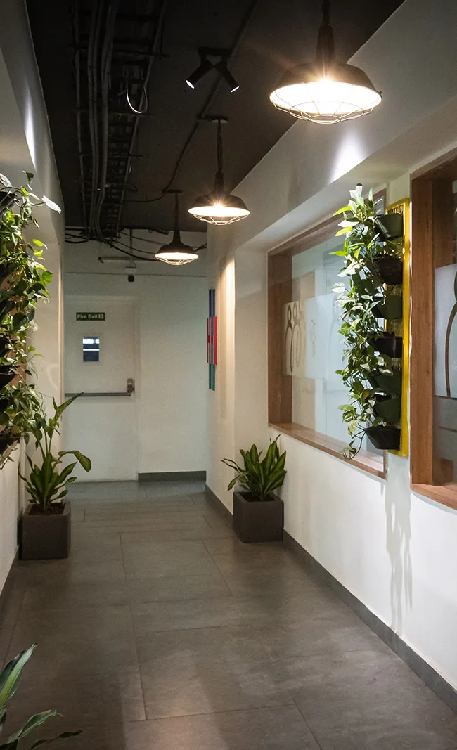 Indoor plants and green wall at The Yard coworking space Indiranagar