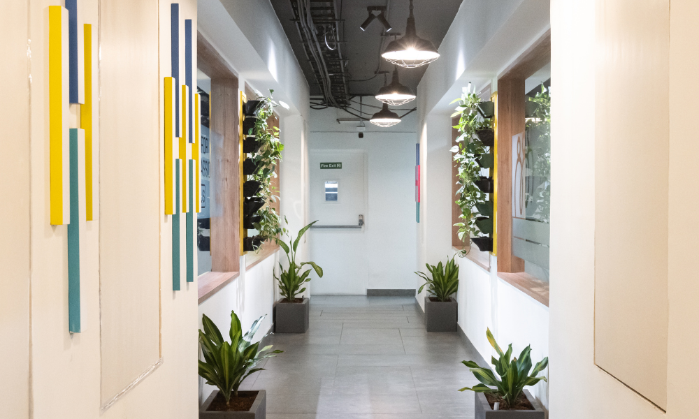Green Spaces That Support Wellness and Focus