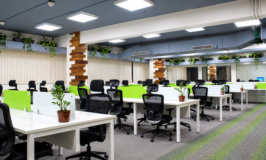 Traditional office workspace with shared desks, ergonomic chairs and green desk partitions